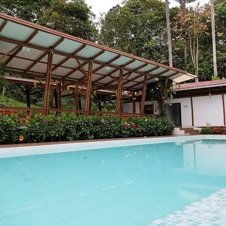 Cielo Verde Lodge Mashpi Bagian luar foto