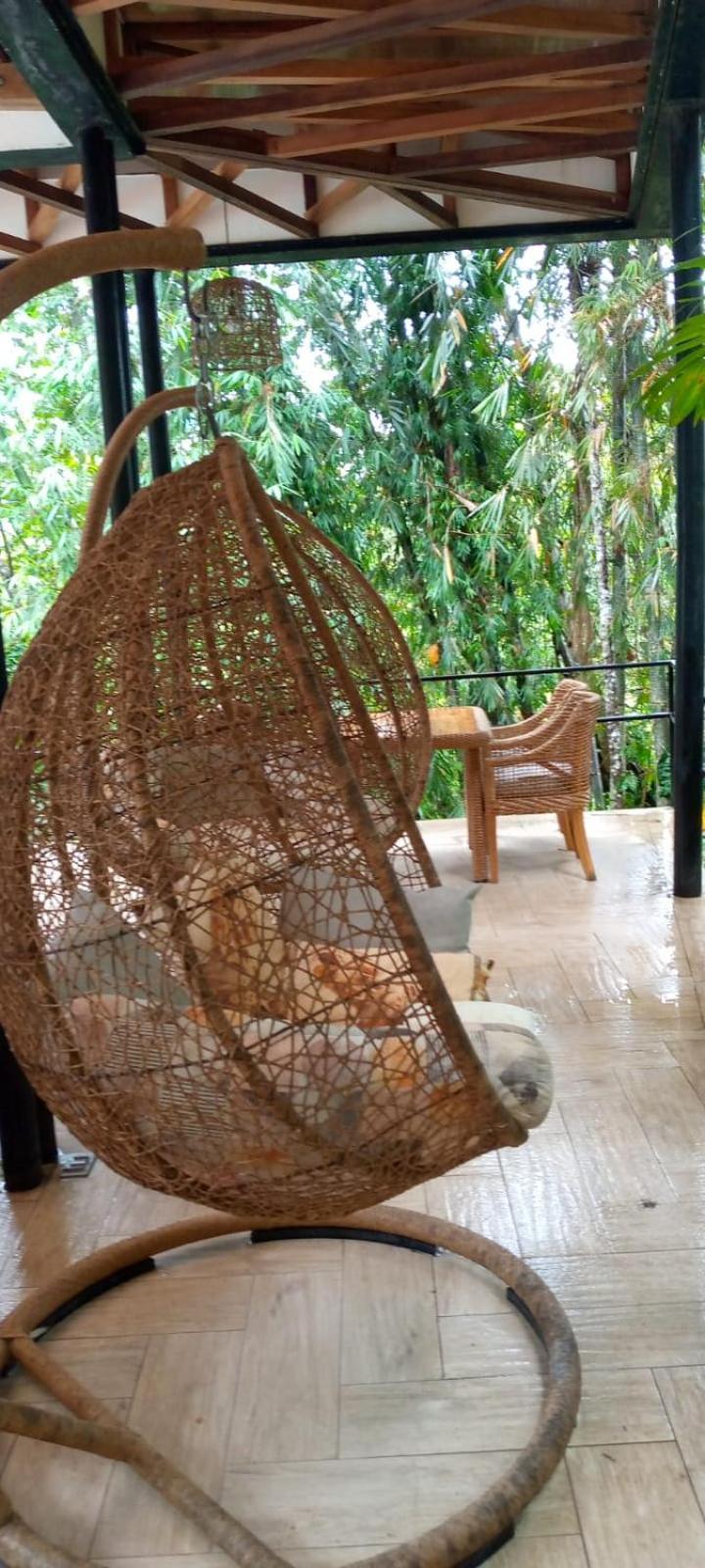 Cielo Verde Lodge Mashpi Bagian luar foto