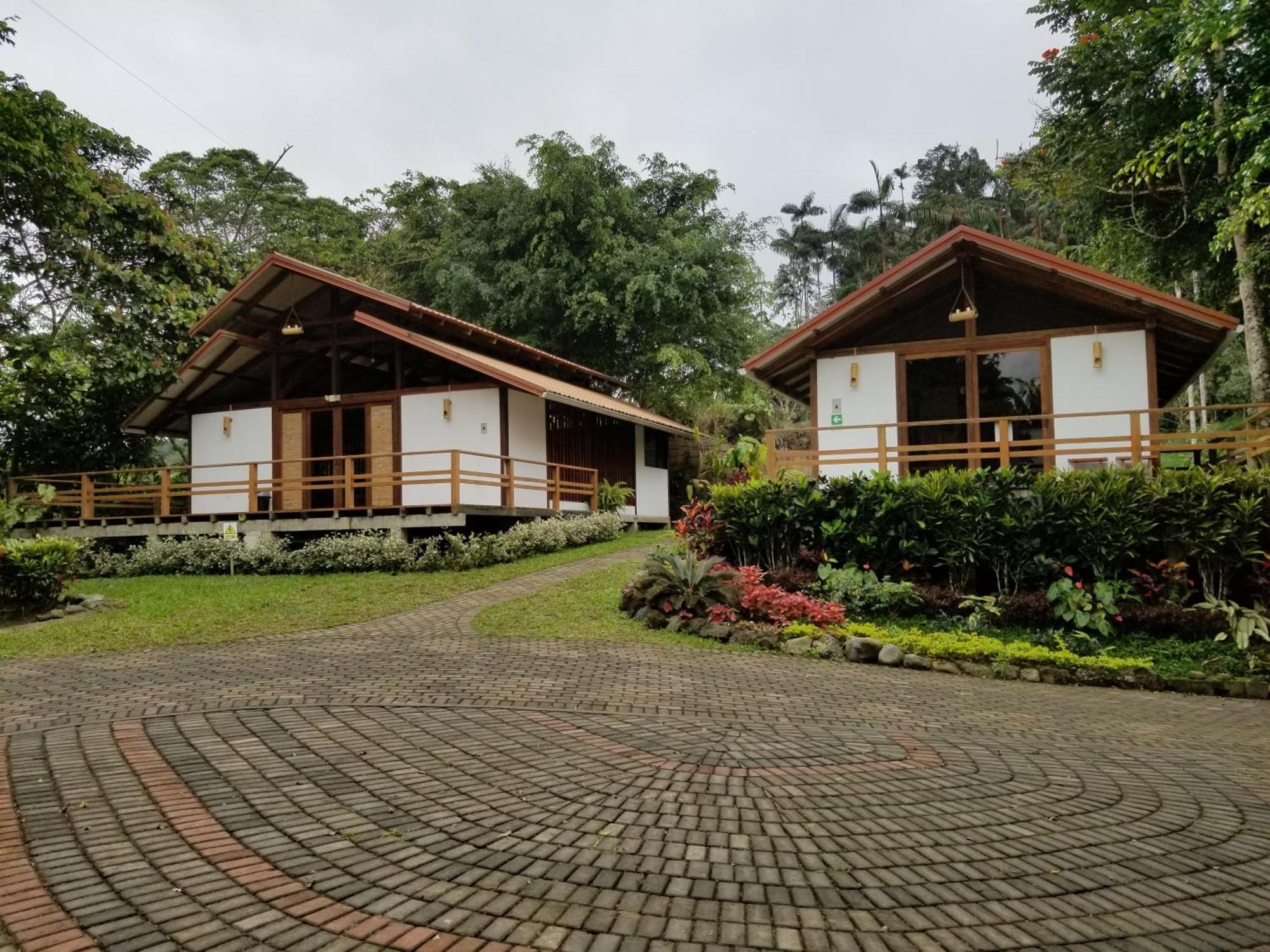 Cielo Verde Lodge Mashpi Bagian luar foto